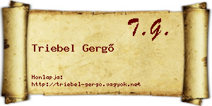 Triebel Gergő névjegykártya
